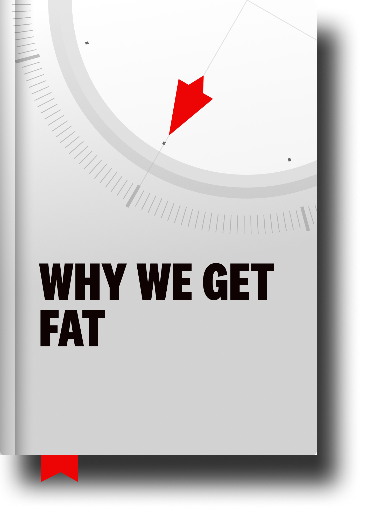 gary taubes why we get fat summary